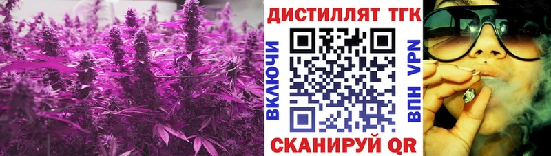 как найти   Вихоревка  ТГК THC oil 