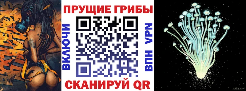 что такое   Вихоревка  Псилоцибиновые грибы ЛСД 