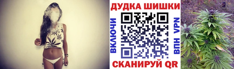 как найти закладки  Вихоревка  Конопля сатива 